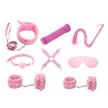 Love In Leather - 9 Piece Bondage Kit | Pink