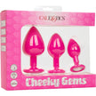 CalExotics – Cheeky™ Gems | 3-Piece Anal Training Plug Kit
