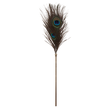 Scala – Taboom Dona Peacock Tickler | BDSM Sensory Teaser