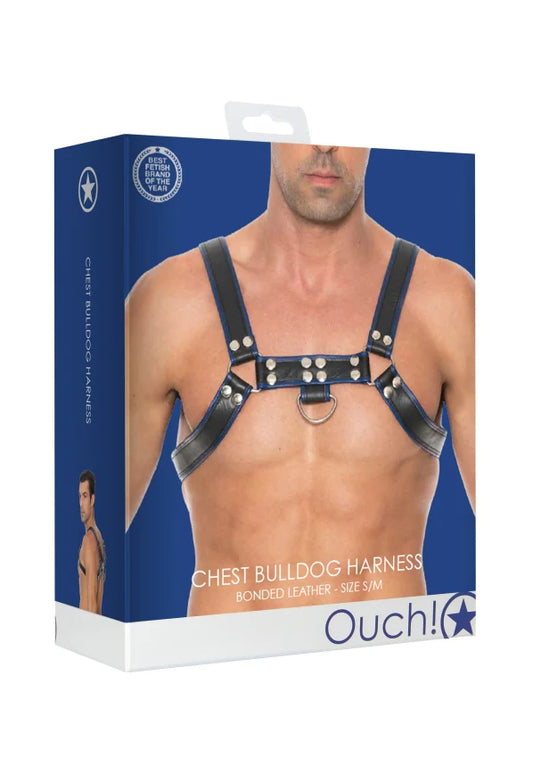 Ouch! - Blue Chest Bulldog | Harness S/M